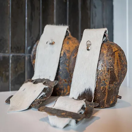 Reetidyll Am Haff * Stolpe auf Usedom